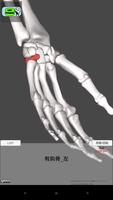 和鍼灸院式解剖学（骨格）　3D capture d'écran 3