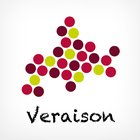 道産ワイン応援団 veraison simgesi