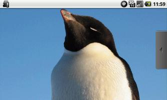 Full of Penguins Free imagem de tela 1