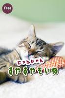 ニャンニャンすやすや添い寝 Poster
