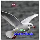Bird Alarm APK