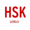 HSK Level 4/5 simple quiz 1000 icon