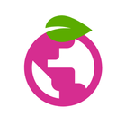 Berry Browser icono