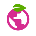 Berry Browser icône