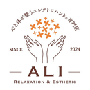 ALI ELECTRO HAND APK