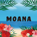 セルフエステ MOANA-APK