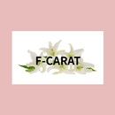 再生美容サロン　F-CARAT APK