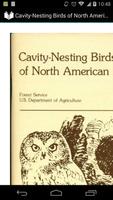 Cavity-Nesting Birds Affiche