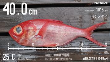 カメラアプリ(Fishingモード) poster