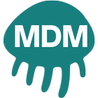 AssetView MDM icône