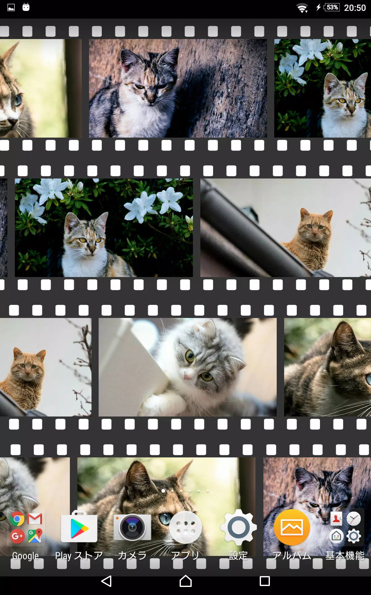 好きな写真を楽しむライブ壁紙 Myフィルム壁紙 For Android Apk Download 好きな写真を楽しむライブ壁紙 Myフィルム壁紙 For Android Apk Download