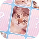 CAT'S MEMORY！可愛い猫のメモリーマッチパズル APK