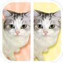 Cat Find Differences APK