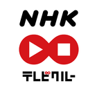 NHK テレビクルー ikon