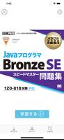 Java Bronze 問題集 Poster