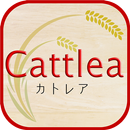 カトレア APK