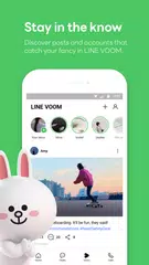 LINE: Calls & Messages XAPK download