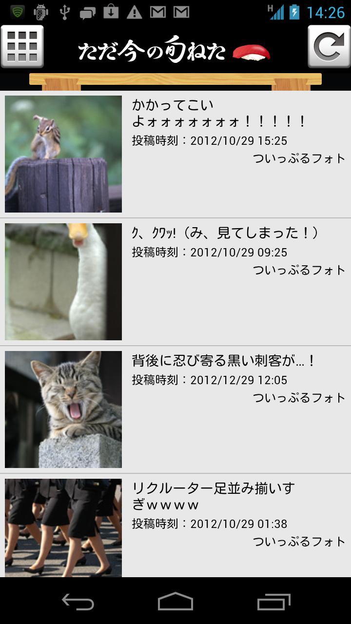 暇人専用 旬の面白ネタ 猫 犬画像まとめアプリ ねたっぷる Dlya Android Skachat Apk