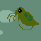 Daphnia Catcher آئیکن