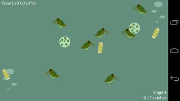 Daphnia Catcher پوسٹر