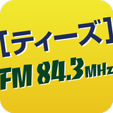 TEES-843FM 圖標