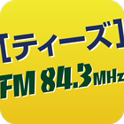 TEES-843FM アイコン