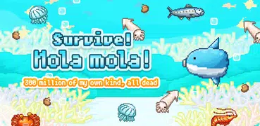 Survive! Mola mola!