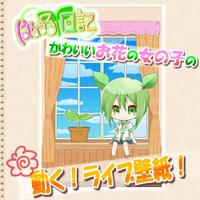 【かわいいライブ壁紙】はなまる日記 poster