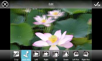 3DSteroid Pro ảnh chụp màn hình 2
