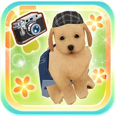 My Dog My Room 2 APK download