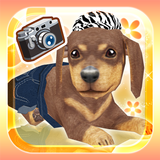 My Dog My Room Free biểu tượng