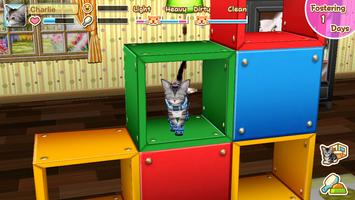 My Cat bài đăng
