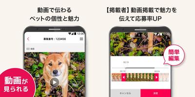 ペットのおうち ảnh chụp màn hình 2