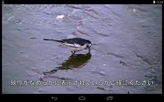 モバイルTV(StationTV)動作確認ツール bài đăng