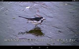 ワイヤレスTV(StationTV) 動作確認ツール bài đăng