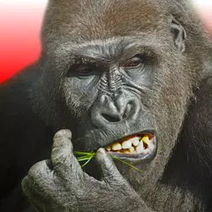Flying Gorilla Icon