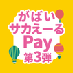 がばいサカえーるPay
