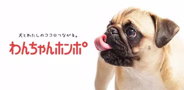 犬のニュースや飼い方の情報をまとめ読み -わんちゃんホンポ-