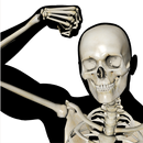 BONE（ボーン）骨を学ぶ３Dアプリ APK