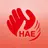 HAEノート～遺伝性血管性浮腫の患者さんのための症状記録～ APK