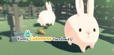 Bunny More Cuteness Overload