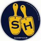 SCOOP icône