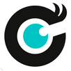 KineVisionC APK
