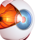 Vision Workout : Eye Training icône