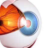 Vision Workout : Eye Training aplikacja