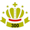 BowlRecord 300 icon
