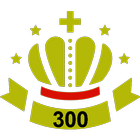 BowlRecord 300 simgesi