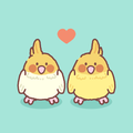 Furry Pet Match