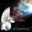 Radio Celestial Victorica icon