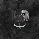 Lw3 Events APK